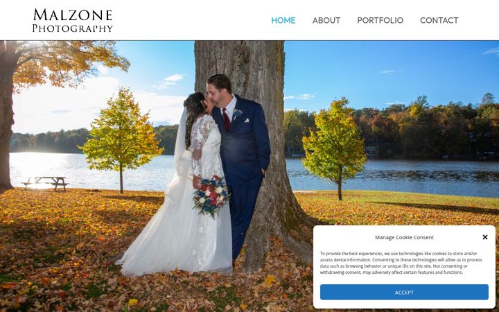 Screenshot of mikemalzone.com