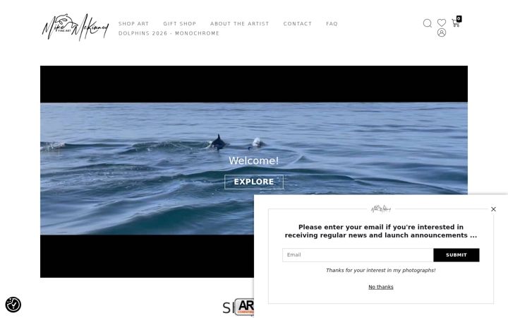 Screenshot of mikemckinneyfineart.com