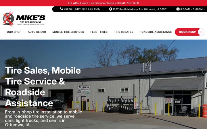 Screenshot of mikestireandalignment.com