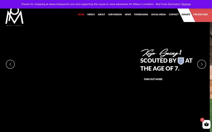 Screenshot of mikeypoulli.com