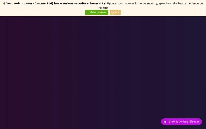 Screenshot of mile-company.com