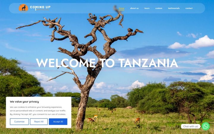 Screenshot of milestoneadventuresafrica.com