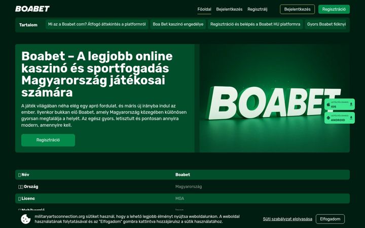 Snimka zaslona za militaryartsconnection.org