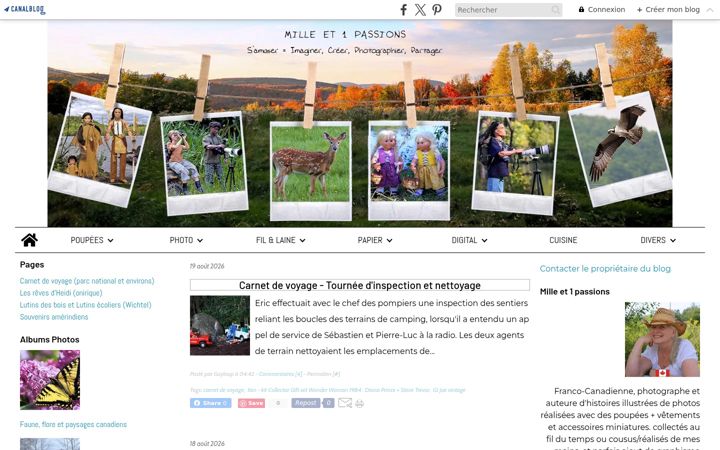 Screenshot of milleet1passions.com
