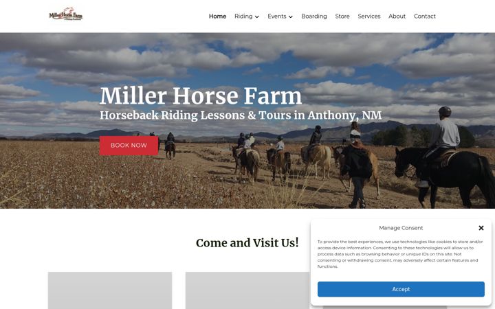 Screenshot of millerhorsefarms.com