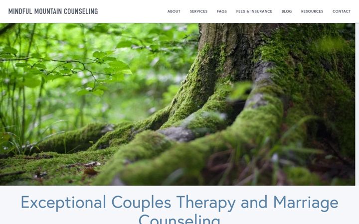 Screenshot of mindfulmountain.com