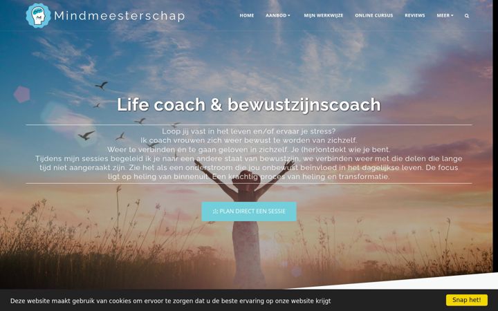 Screenshot of mindmeesterschap.com