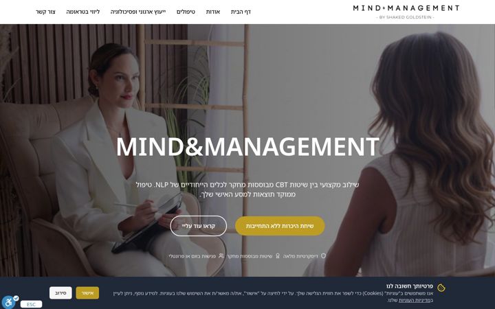 Screenshot of mindnmanagement.com
