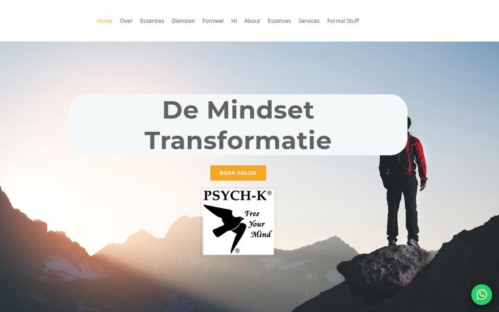 Screenshot of mindset-program.com
