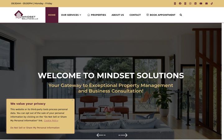Screenshot of mindsetsolutionsllc.com