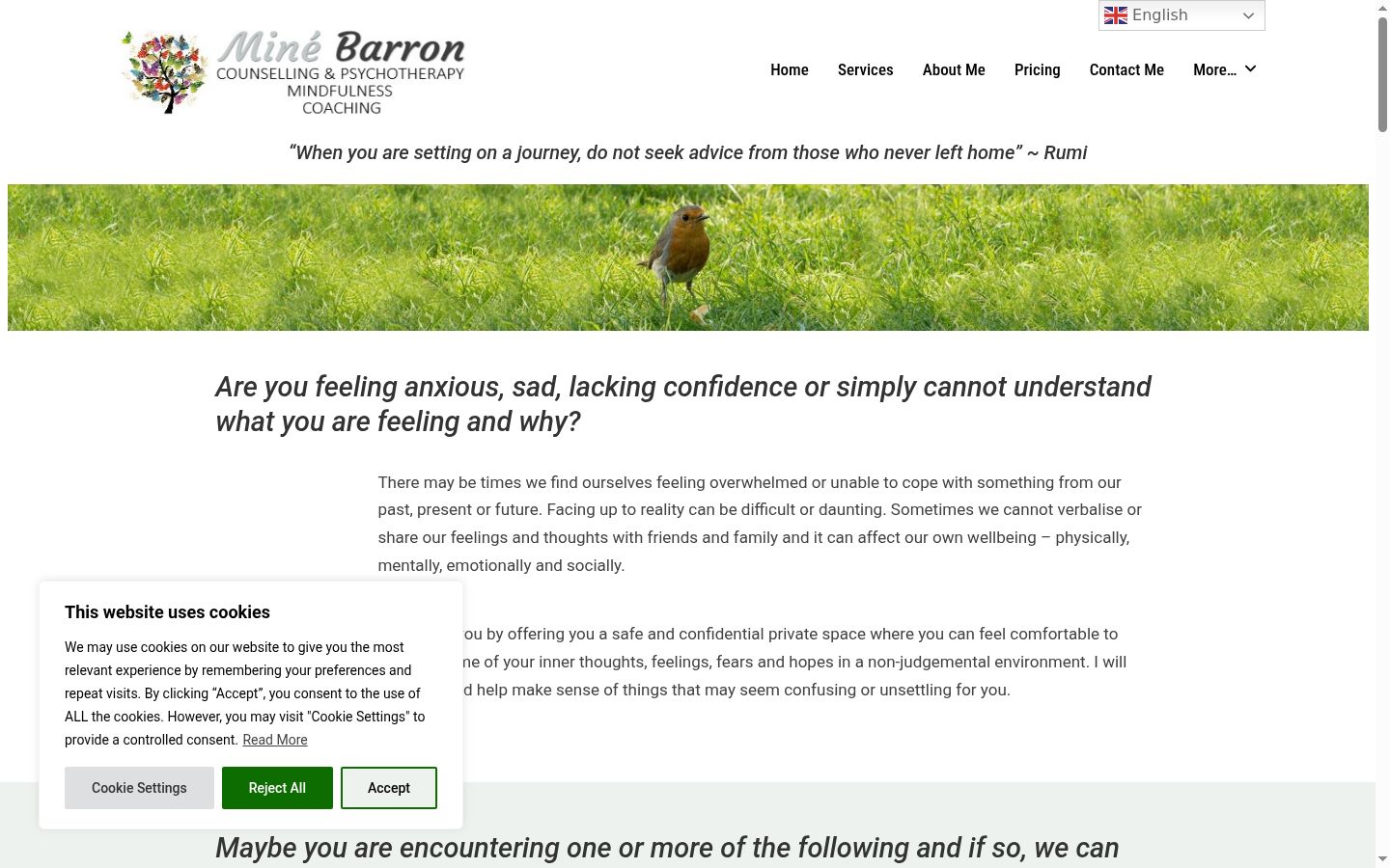 Screenshot of the consent banner shown before any interaction