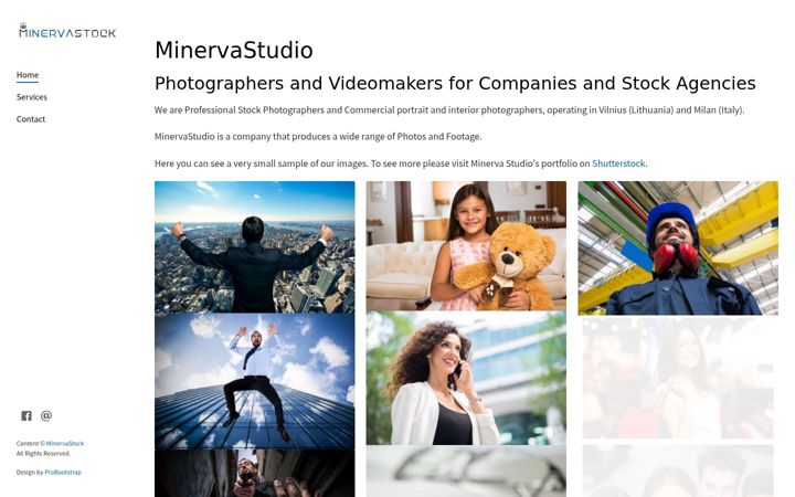 Screenshot of minervastock.com