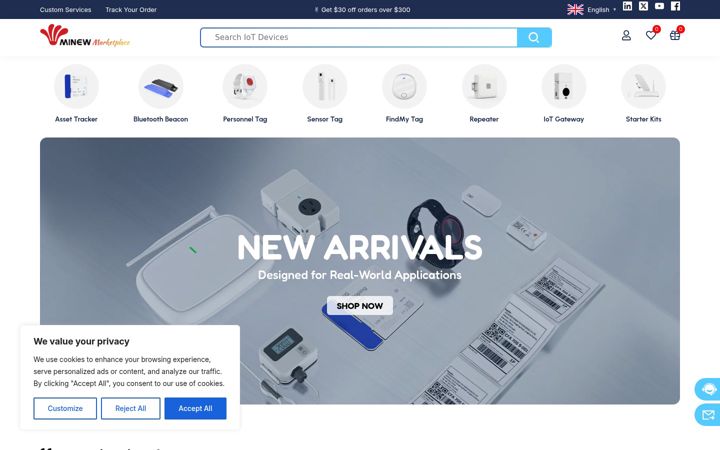 Screenshot of minewstore.com