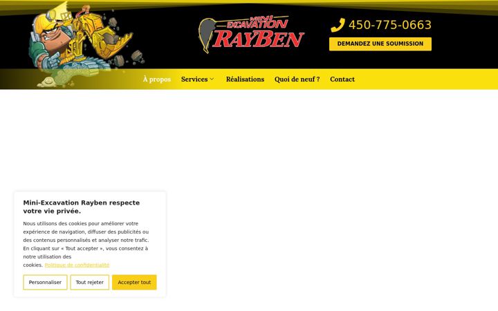 Screenshot of miniexcavationrayben.com