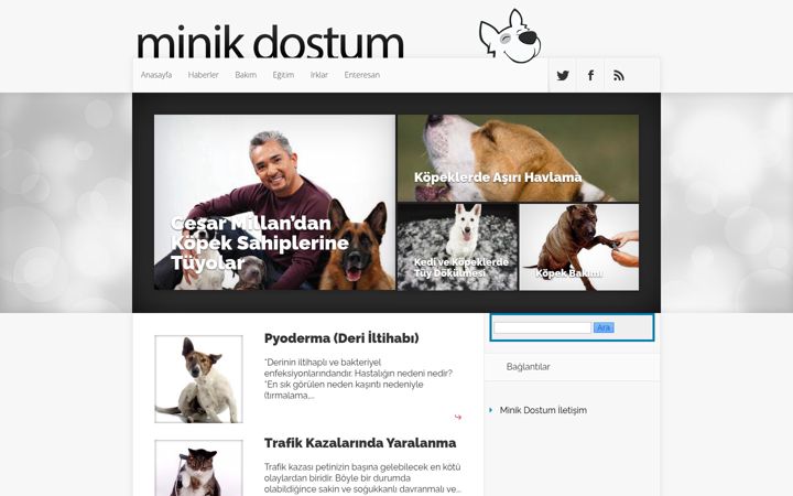 Screenshot of minikdostum.com