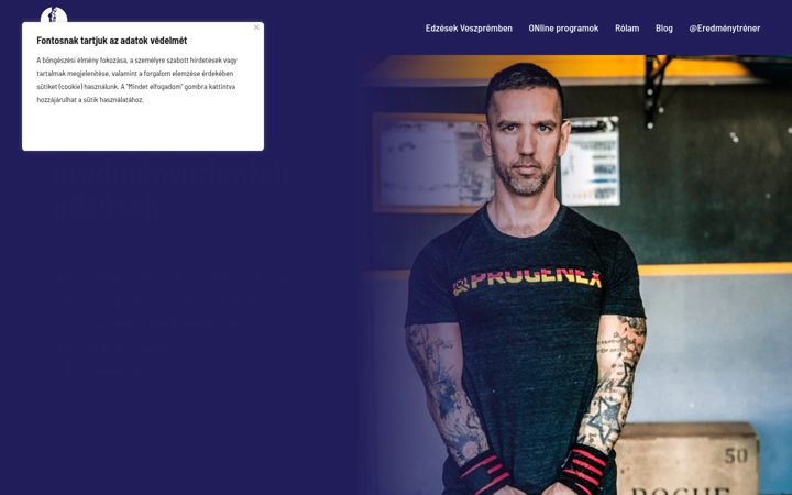 Screenshot of miniricsi.com