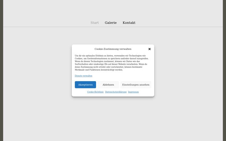 Screenshot of minotaurusarts.com