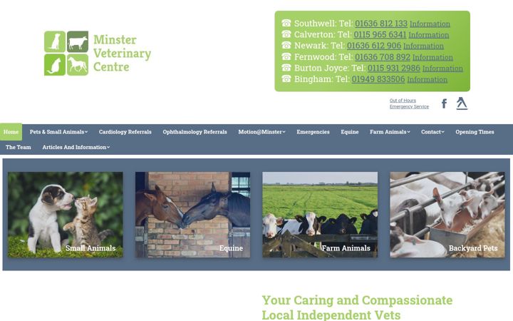 Screenshot of minstervet.com