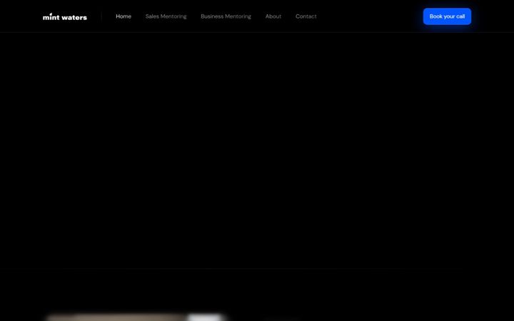 Screenshot of mint-waters.com