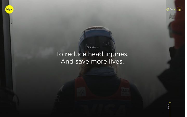 Screenshot of mipsprotection.com