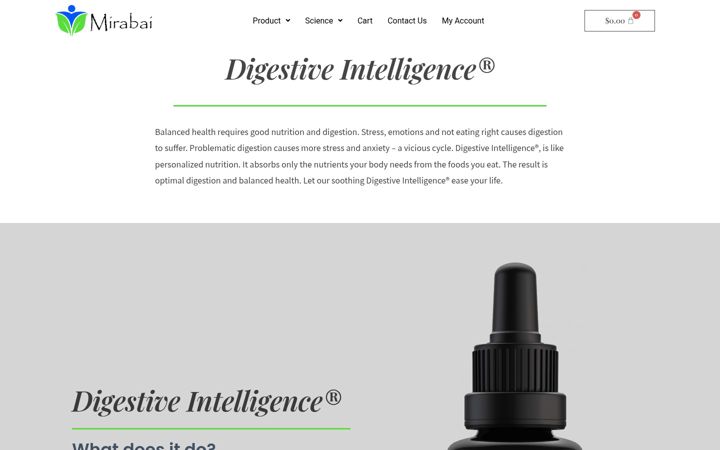 Screenshot of mirabaiproducts.com