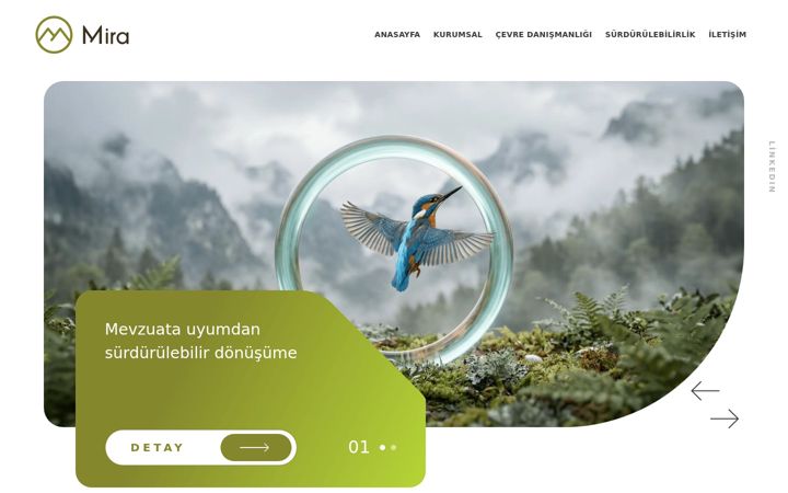 Screenshot of miracevre.com