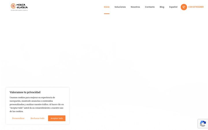 Screenshot of mireiavilaseca.com