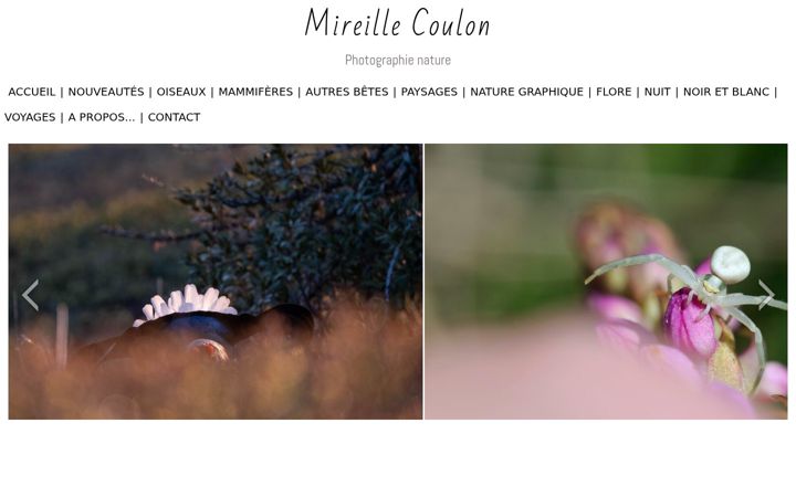 Screenshot of mireillecoulonphotonature.com