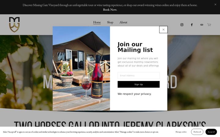 Screenshot of missinggate.com