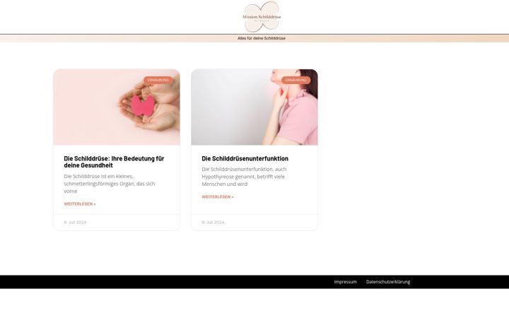 Screenshot of missionschilddruese.com