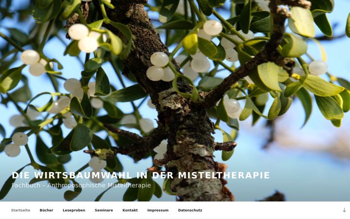 Screenshot of misteltherapie-mehrlein.de