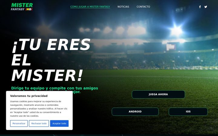 Screenshot of mister-fantasy.com