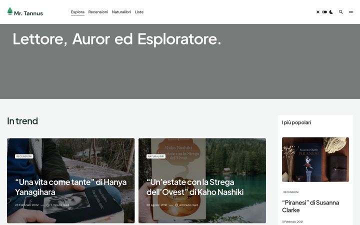 Screenshot of mistertannus.com