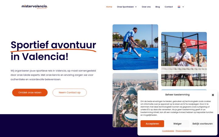 Screenshot of mistervalencia.com