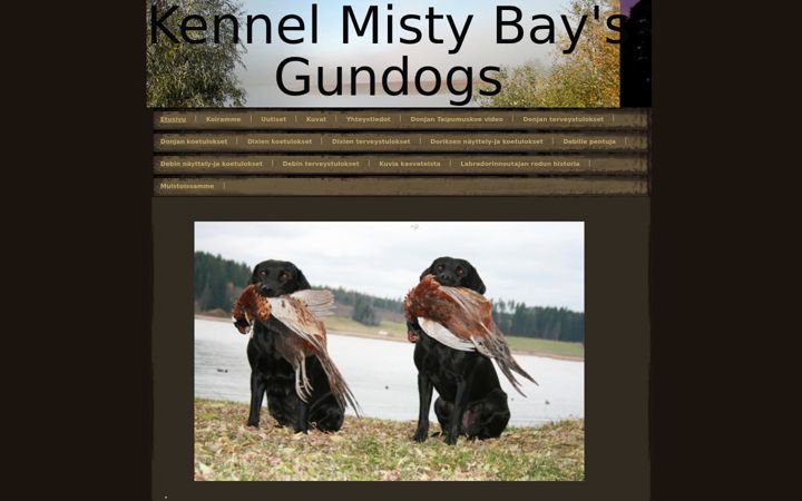 Screenshot of mistybays.com