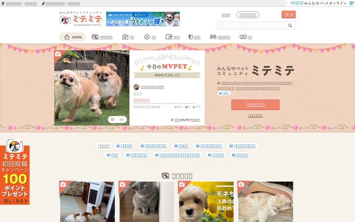 Screenshot of mitemite.pet