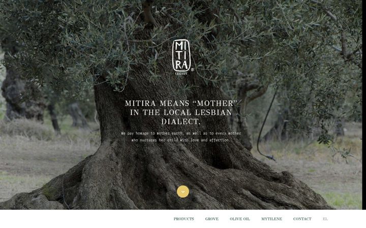 Screenshot of mitiralesvos.com