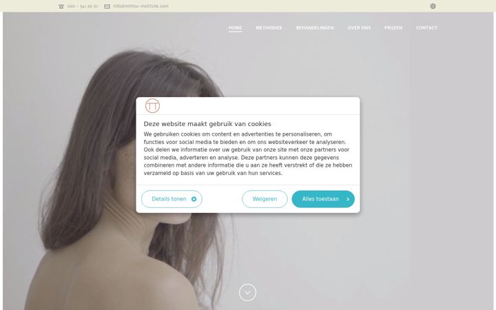 Screenshot of mittsu-institute.com