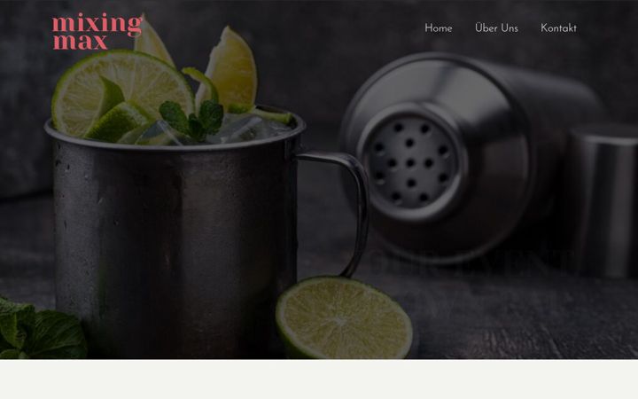 mixingmax.de