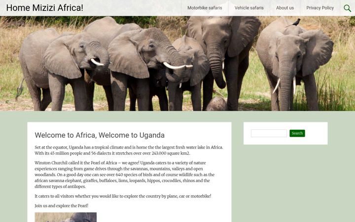 Screenshot of miziziafrica.com