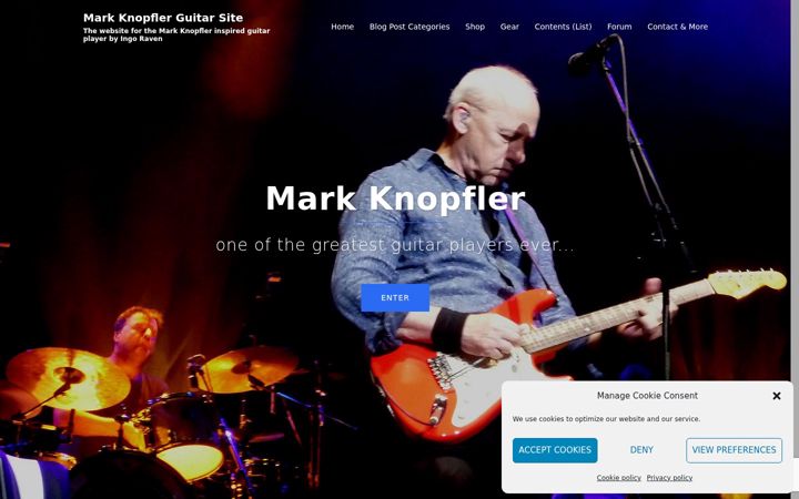 Zrzut ekranu mk-guitar.com