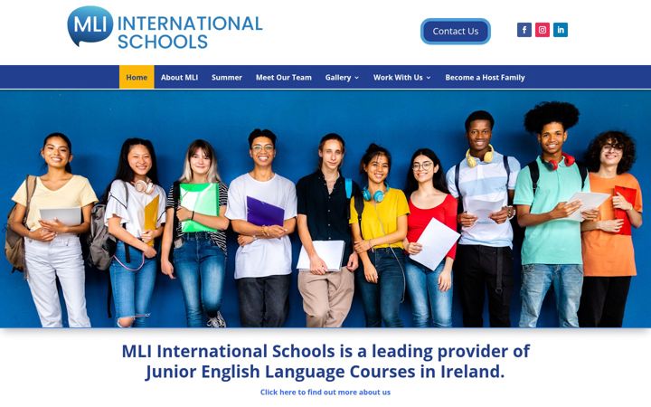 Screenshot of mli-group.com