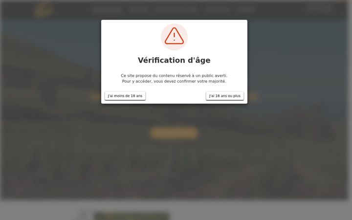 Screenshot of mlledevichi-vigneronne.com