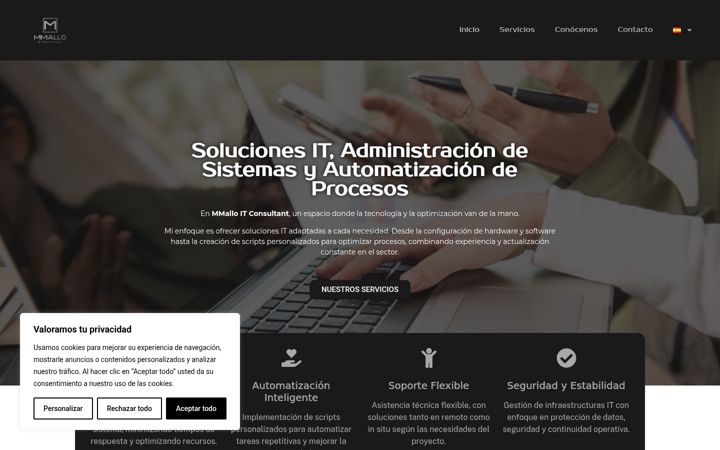 Screenshot of mmalloitconsultant.com