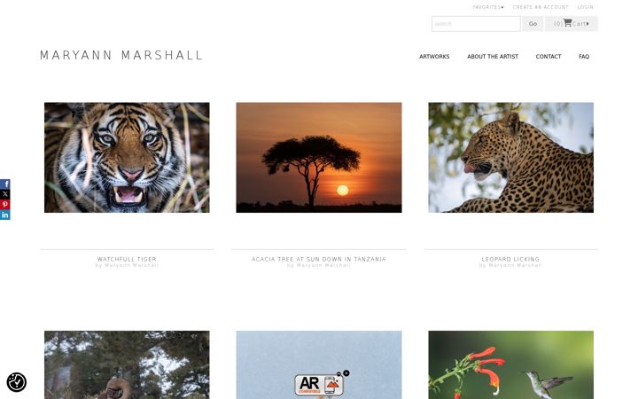 Screenshot of mmarshall.com