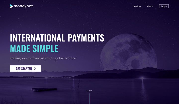 Screenshot of mnetint.com