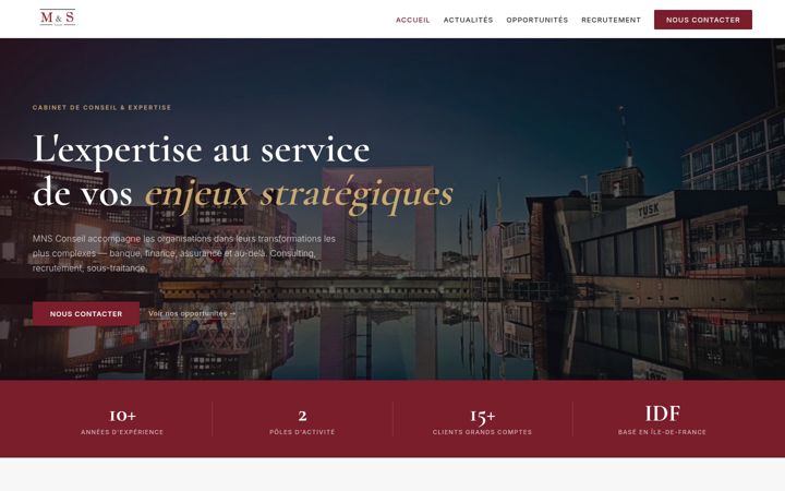 Screenshot of mnsconseil.com