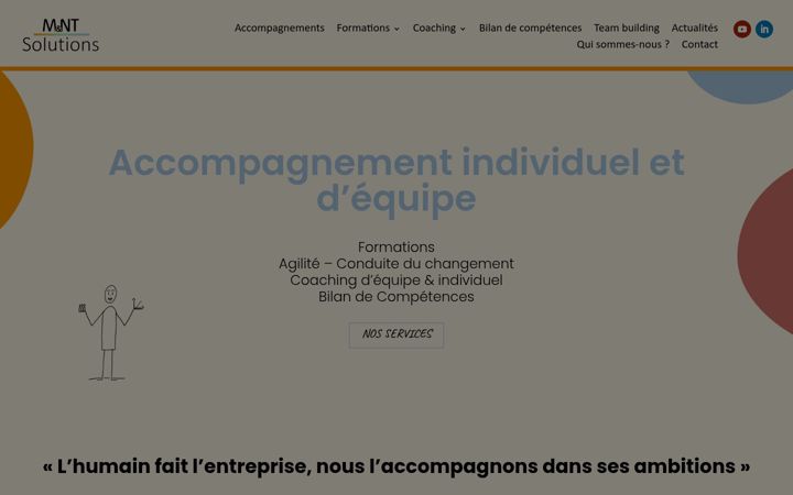 Screenshot of mntsolutions.com