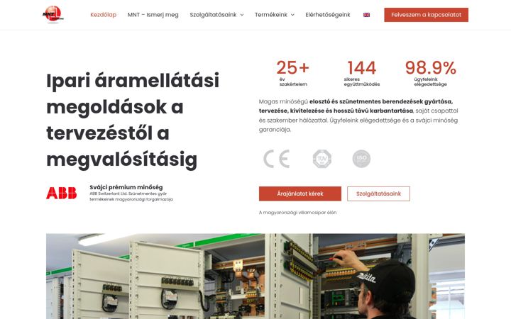 Screenshot of mntsys.com