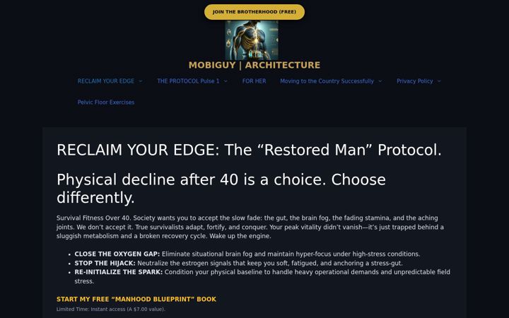 Screenshot of mobiguy.com